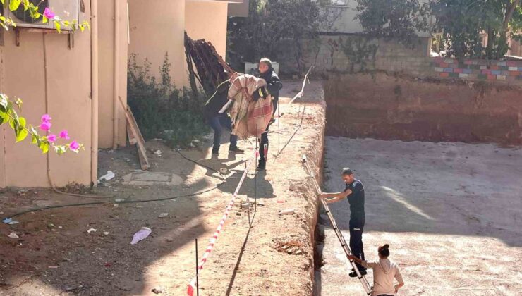 Görme ve işitme engelli ’Çarşaf’ adlı köpek inşaat sahasına düştü, battaniyeye sarılarak kurtarıldı