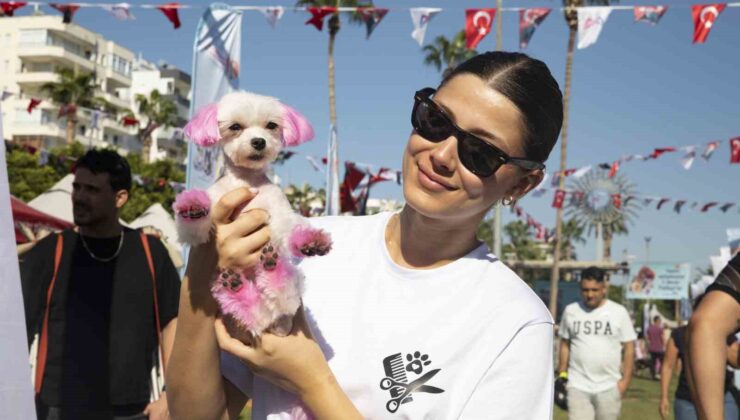 Hayvanseverler, Mersin Patifest’te buluştu