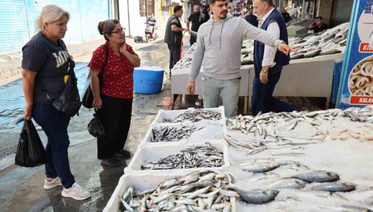 İklim değişikliği balık popülasyonunu azalttı, fiyatlar arttı