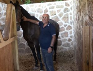 Kahramanmaraş’ta at yetiştiriciliğine ilgi arttı