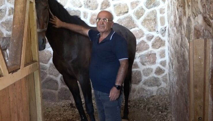 Kahramanmaraş’ta at yetiştiriciliğine ilgi arttı