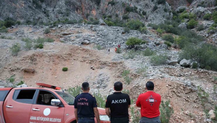 Keçilere kurtarma operasyonu düzenlendi, gerçek başka çıktı