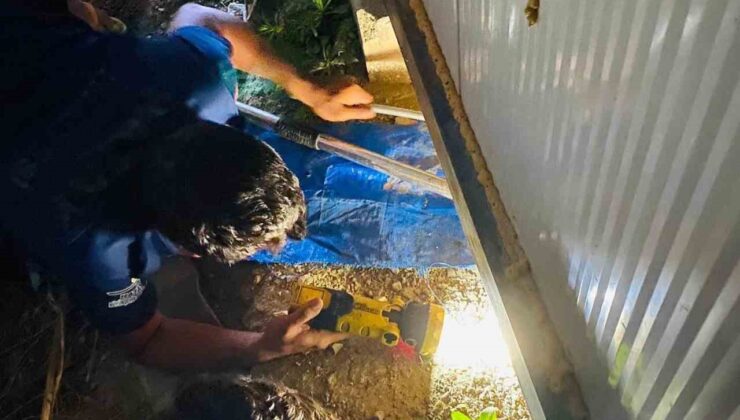 Konteynerin altına sıkışan köpekleri itfaiye kurtardı