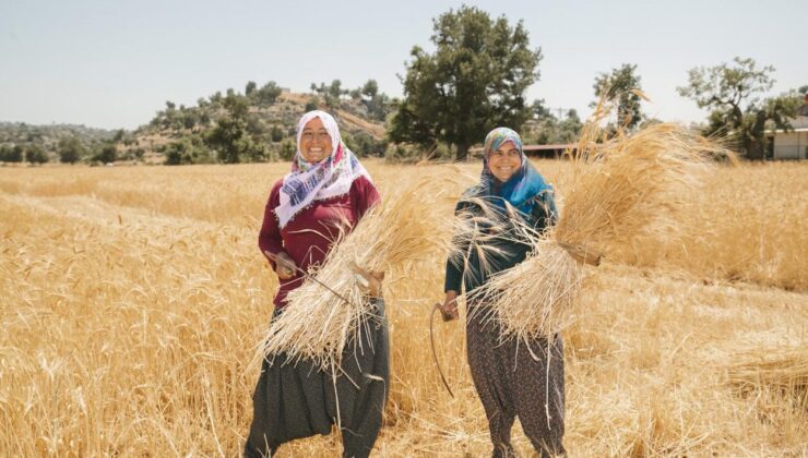 Mersin Büyükşehir Belediyesi, binlerce kadını tarımla buluşturdu