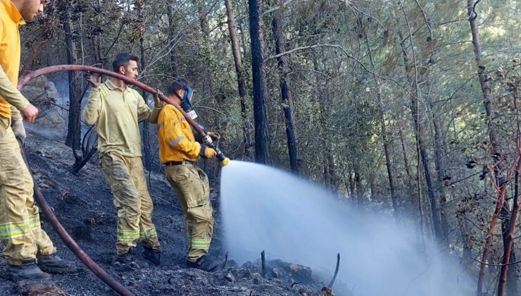 Mersin’de orman yangını havadan ve karadan müdahaleyle söndürüldü