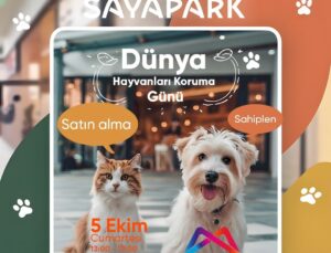 Mersin’de sokak hayvanları sahiplendiriliyor