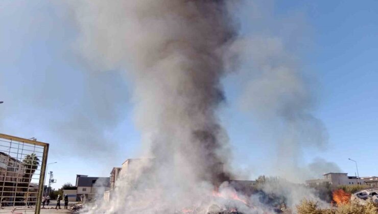 Mobilyacılar Sitesi’ndeki boş alanda yangın çıktı