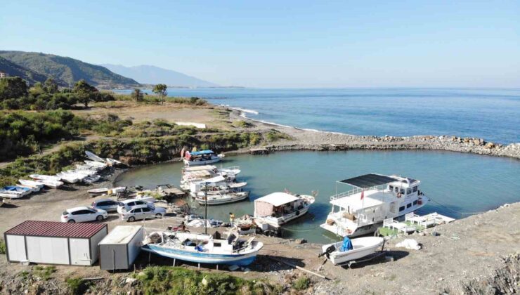 Oltayla tuttuğu 1 buçuk metrelik devasa balığı görünce gözlerine inanamadı