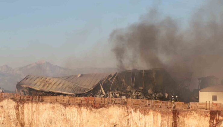 Otluk alan yangını işçilerin kaldığı yatakhaneyi kül etti: İşçiler canını zor kurtardı