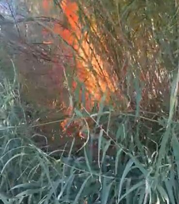 Serik’te kargılık alanda yangın: 2 dönüm alan zarar gördü