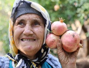 Tescilli Kuytucak narı bahçede 20 lira