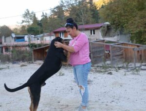 Yolda giderken kafası salça bidonuna sıkışan köpeği görüp kurtardı