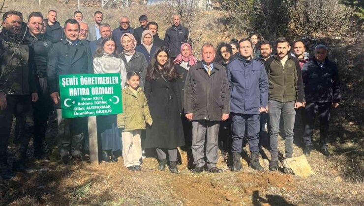 Adana’da kayanın altında kalarak hayatını kaybeden 4 öğretmen için kurulan hatıra ormanına ilk fidanlar dikildi
