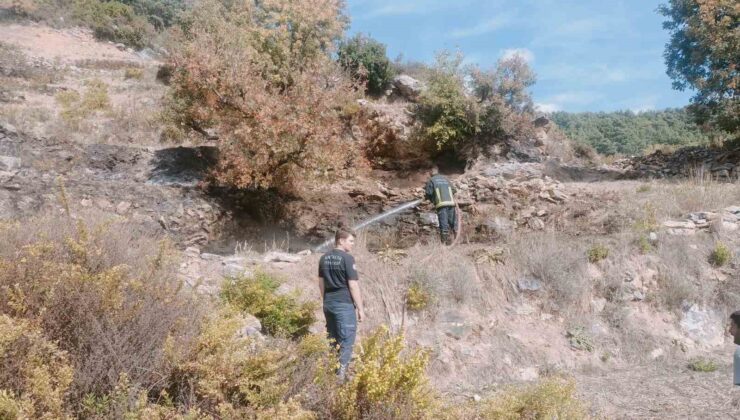 Alanya’da merada çıkan yangın kontrol altına alındı