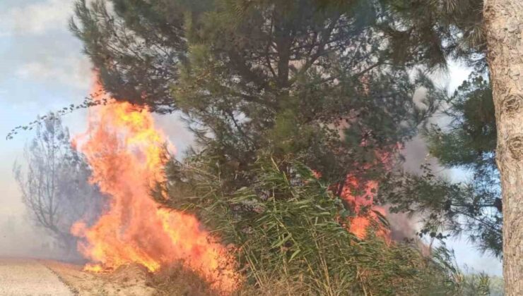 Antakya’da ormanlık alandaki yangın büyümeden söndürüldü