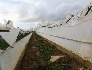 Antalya Büyükşehir, afet bölgesinde incelemelerde bulunup yardım eli uzattı