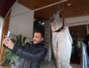 Balıkçı ağına insan boyunda orkinos takıldı