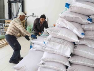 Büyükşehir’den Korkutelili üreticilere 60 ton buğday desteği
