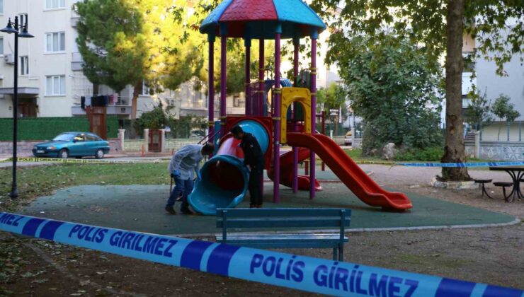 Çocuk parkında dehşet saçtılar: 2 çocuk saçma ile yaralandı
