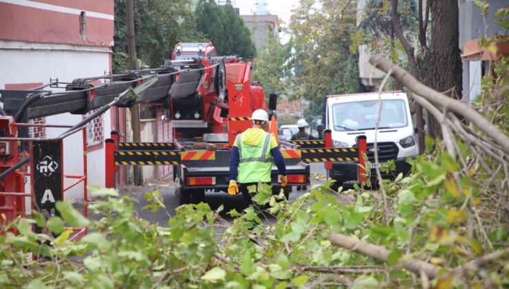 Dulkadiroğlu Belediyesi’nden yeşil alan atağı