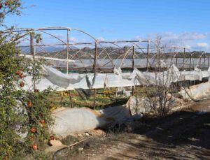 Fırtına ve hortum sonrası Antalya’da hasar tespiti sürüyor