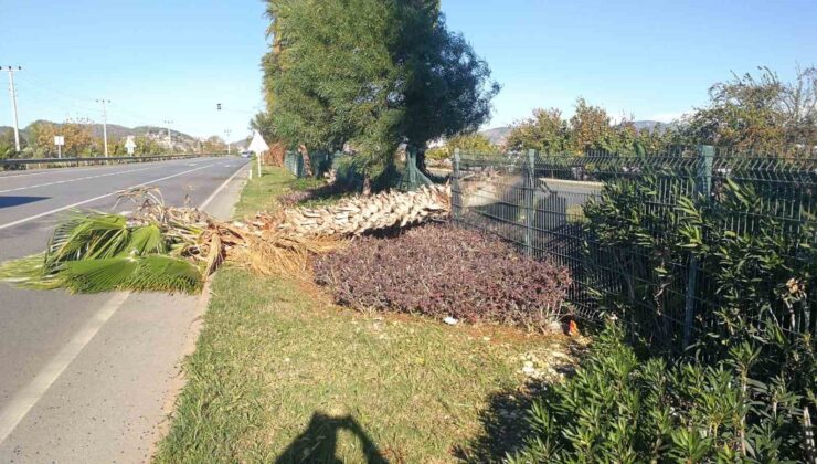 Gazipaşa’da fırtına 250 hektarlık sera alanını vurdu
