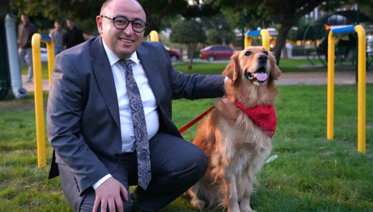 Geri dönüşüm malzemelerinden Pati Park