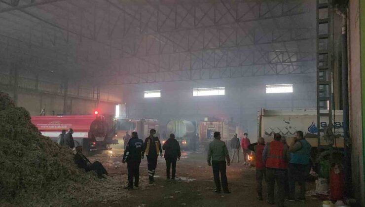 Hatay’da pamuk fabrikasında yangın