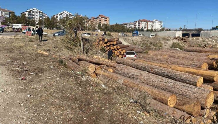 Isparta’da kontrolden çıkan otomobil tomrukların üzerinden düştü: 2 yaralı