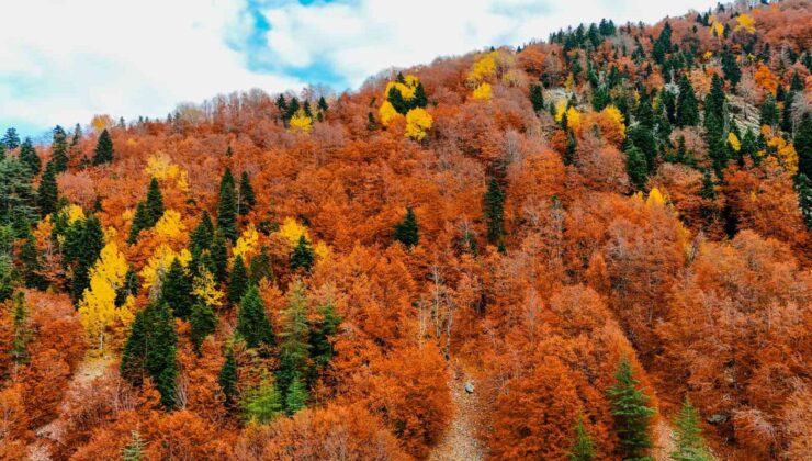 Kahramanmaraş’ta kartpostallık sonbahar renkleri