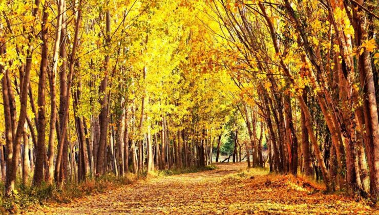 Kahramanmaraş’ta sonbahar güzelliği