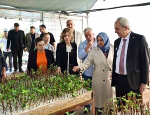 Kepez Belediyesi, ilçeyi kendi yetiştirdiği bitkilerle yeşillendiriyor