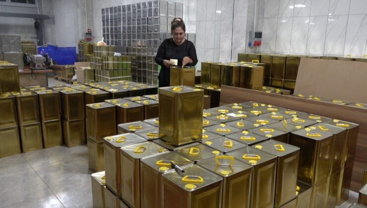 Köyüne zeytinyağı tesisi kuran kadın girişimcinin hedefi dünyaya açılmak