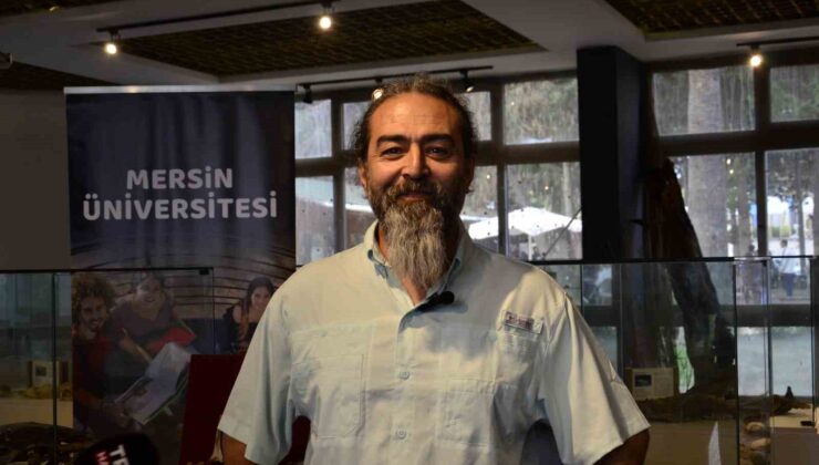 Kum köpekbalıkları ekoturizme kazandırılacak