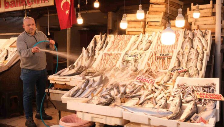 Mersin’de dev balık bin 500 liradan alıcı buldu