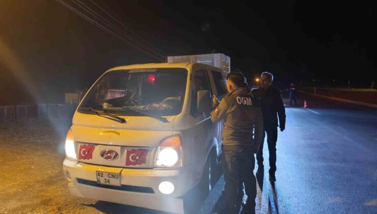 Mersin’de ormanlar denetleniyor