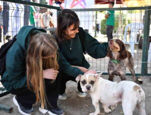 Mersin’de patili dostlar yeni yuvalarına kavuştu
