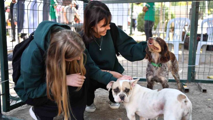 Mersin’de patili dostlar yeni yuvalarına kavuştu