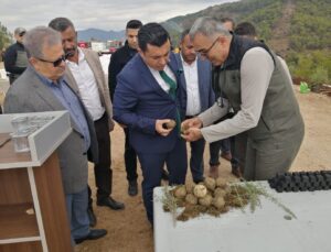 Milli Ağaçlandırma Günü’nde karbon zengini tohumlar toprakla buluşturuldu