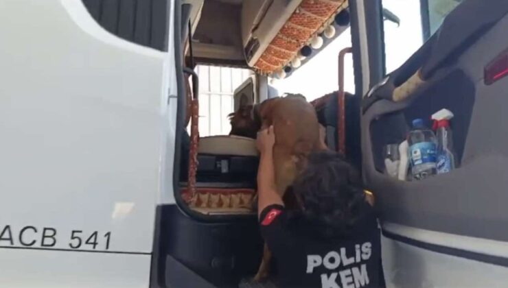 Osmaniye’de uyuşturucu operasyonu: 32 tutuklama