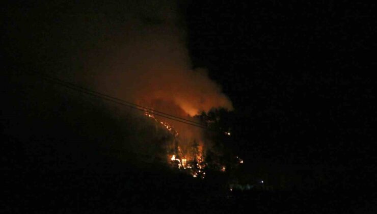 Pozantı’da çıkan orman yangını kontrol altına alındı