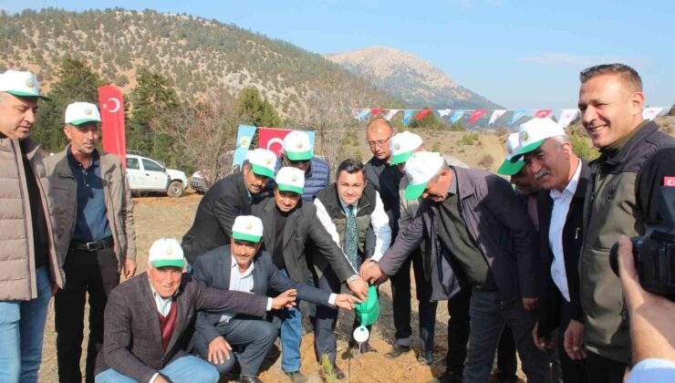 Saimbeyli’de 2 bin fidan toprakla buluştu