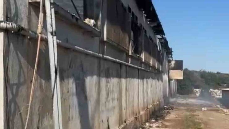 Tarsus‘ta tavuk çiftliğinde yangın 33 bin civciv telef oldu