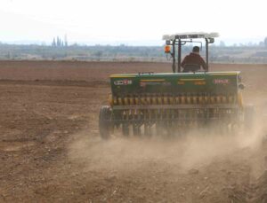 Adana’da buğday taneleri toprakla buluştu