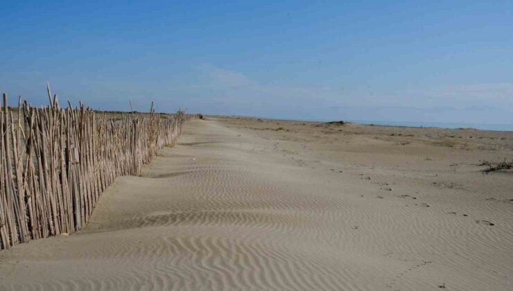 Adana’da erozyonla mücadele kapsamında fidan dikimi yapıldı.