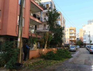 Ağaç budarken bütün mahallenin elektriğini kesti, elektronik cihazlarını yaktı