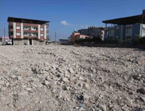 Ağır hasarlı binaya asansörlü nakliye aracıyla çıkıp, yavru köpeği kurtardı: O anlar kamerada