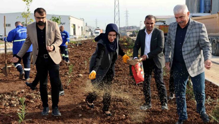 Akdeniz ilçesi yeni bir yeşil alan kazanıyor