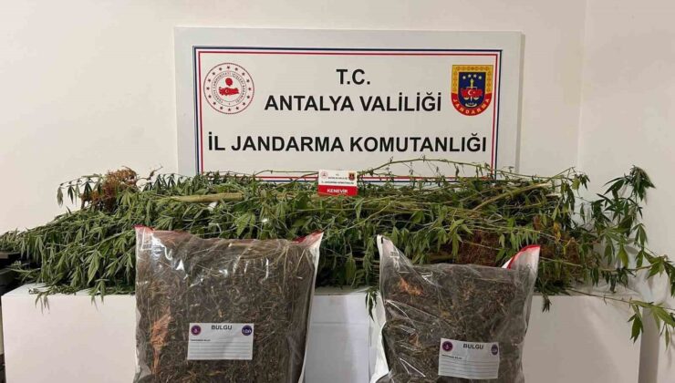 Alanya’da narkotik operasyonları