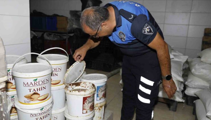 Alanya’da zabıtası 2024 yılında 11 bin işletmeyi denetledi